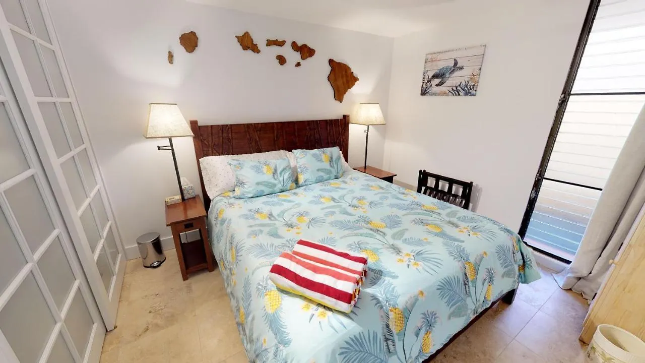 Stunning Sunsets And Oceanview'S At Paki Maui Apartment Lahaina