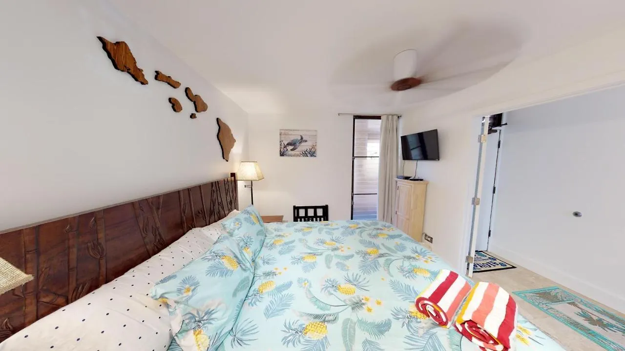 Stunning Sunsets And Oceanview'S At Paki Maui Apartment Lahaina United States